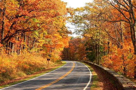 Things to Do in Shenandoah .